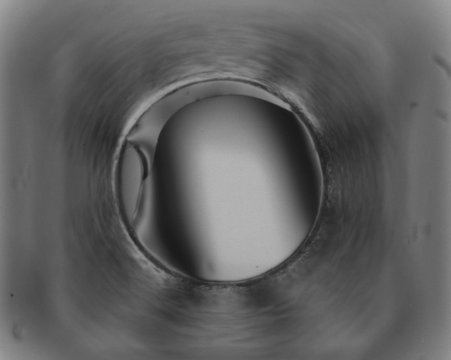 X0000091471516200708231327