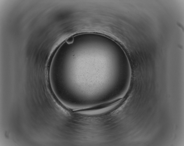 X0000091471517200708231327