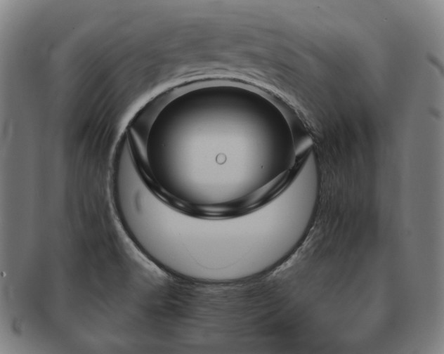 X0000091471518200708231327