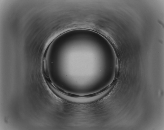 X0000091471520200708231327