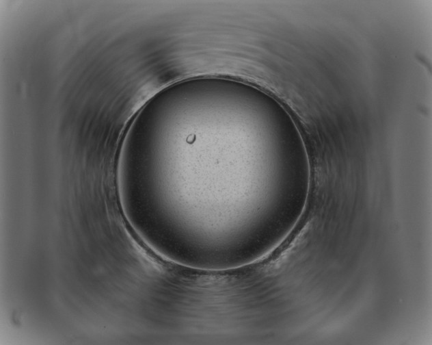 X0000091471521200708231327