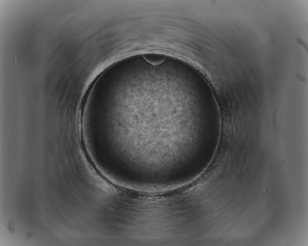 X0000091471522200708231327