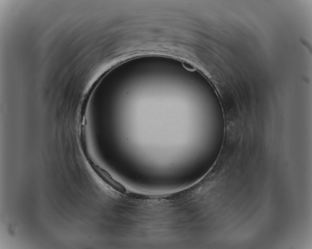 X0000091471523200708231327