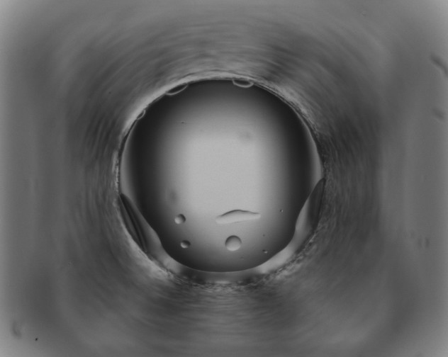 X0000091471524200708231327