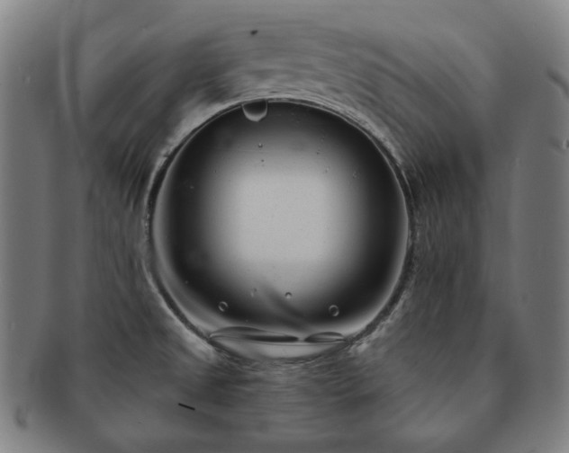 X0000091471525200708231327