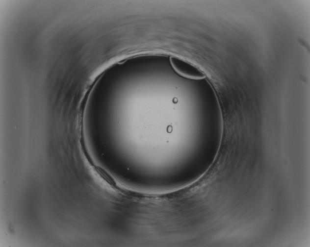 X0000091471526200708231327