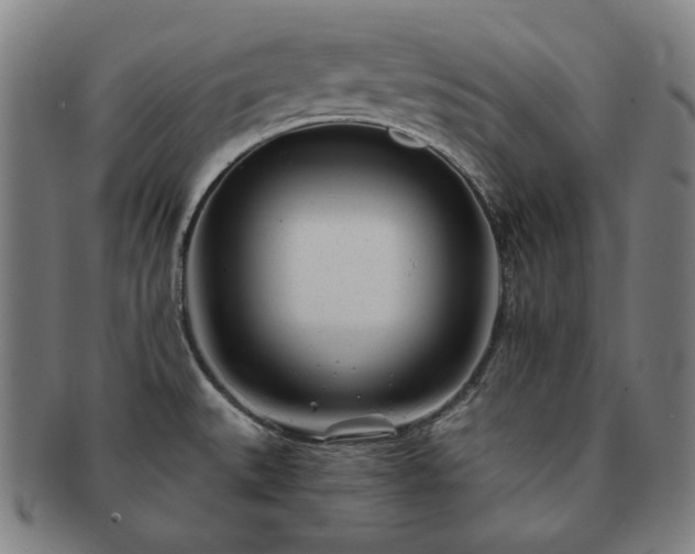 X0000091471527200708231327