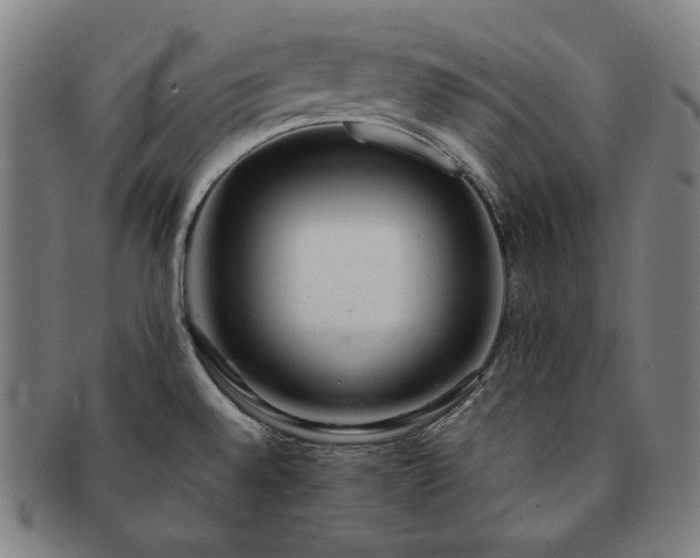 X0000091471528200708231327