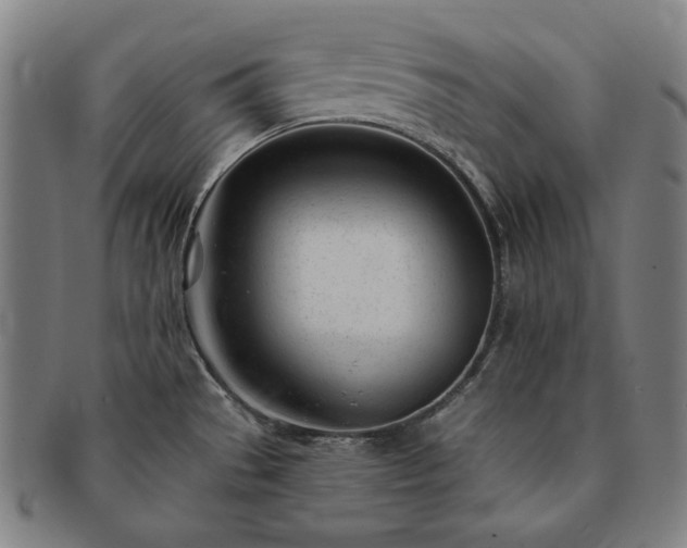 X0000091471529200708231327