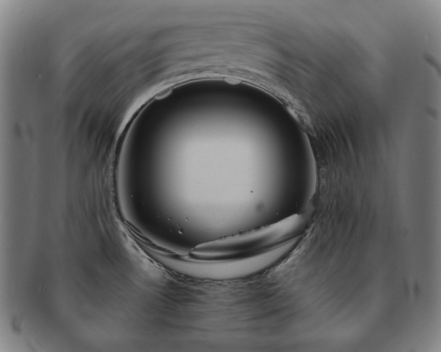 X0000091471530200708231327