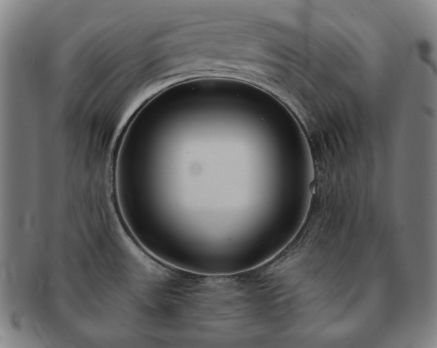 X0000091471531200708231327