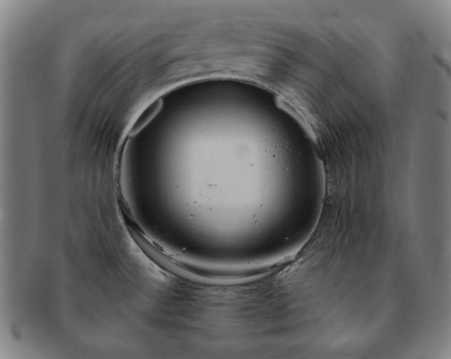 X0000091471532200708231327