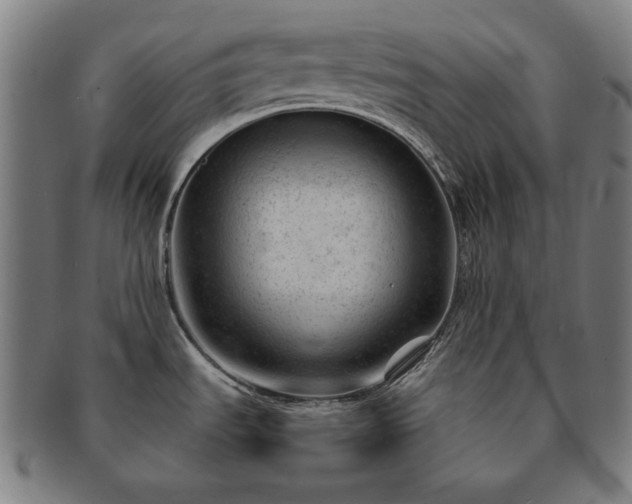 X0000091471535200708231327