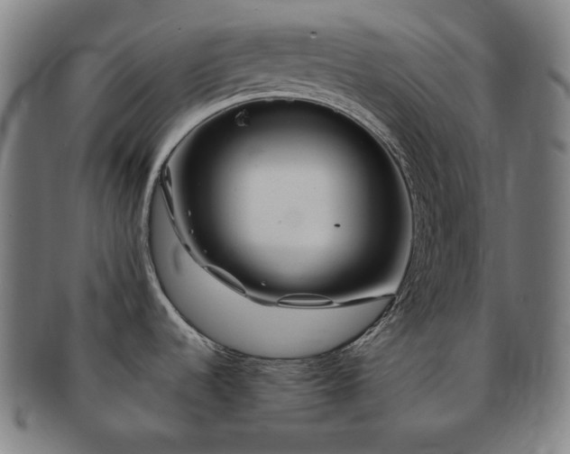 X0000091471536200708231327