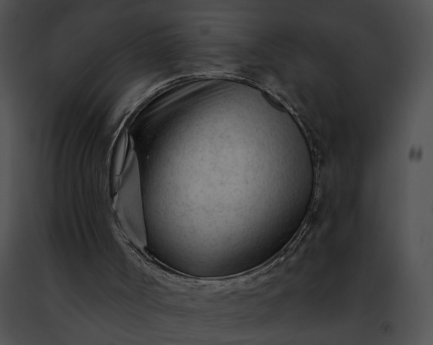 X0000091470002200708301903