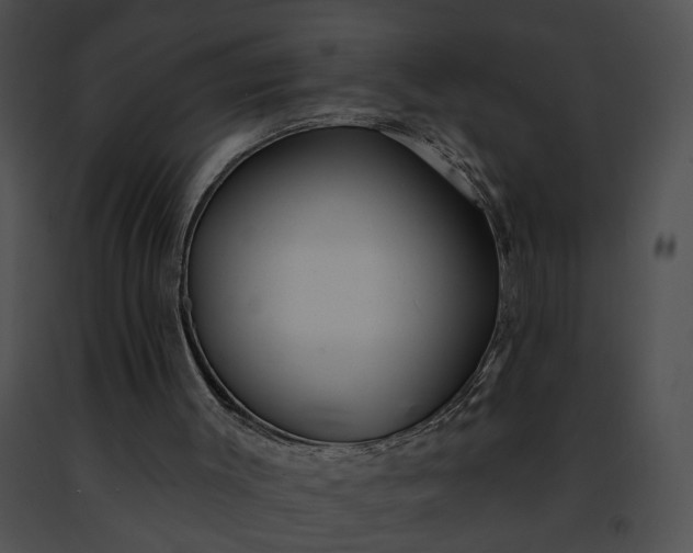 X0000091470003200708301903