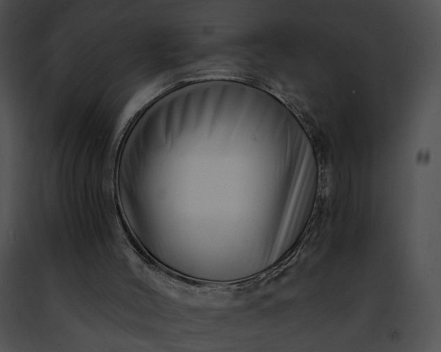 X0000091470004200708301903