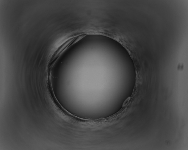 X0000091470005200708301903