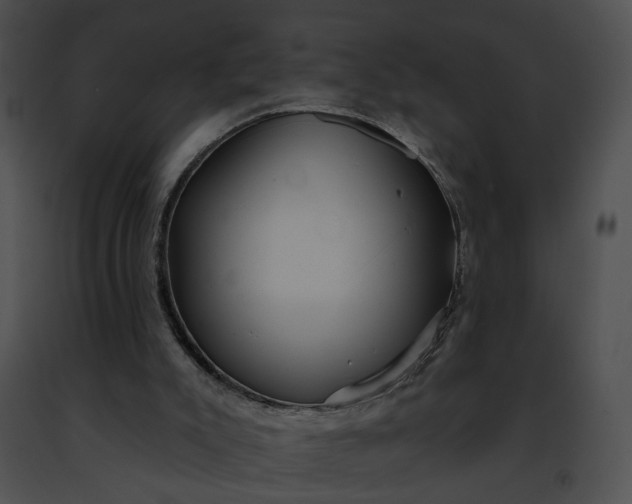 X0000091470007200708301903