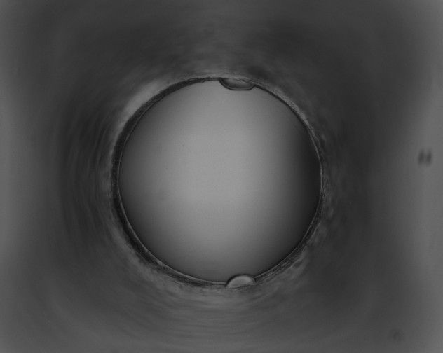 X0000091470008200708301903