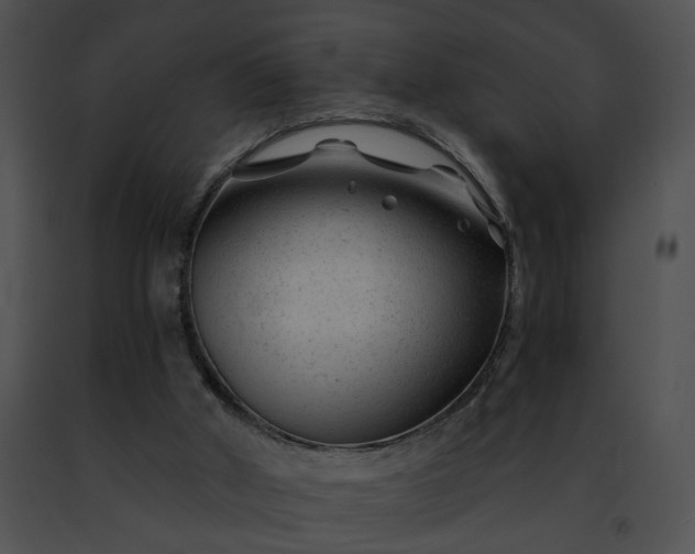 X0000091470010200708301903