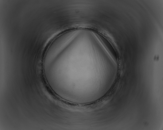 X0000091470012200708301903