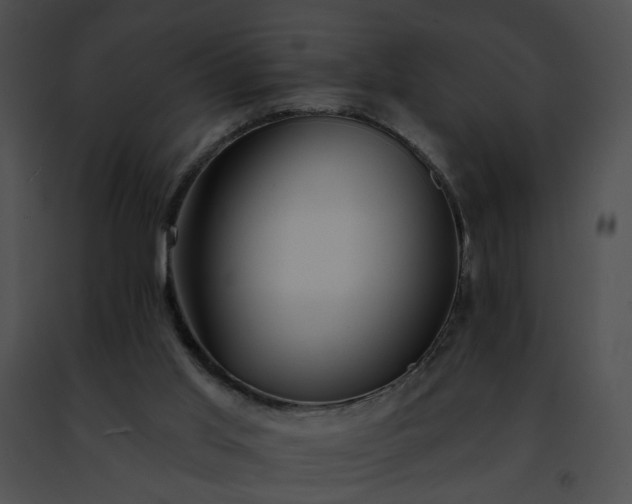 X0000091470013200708301903