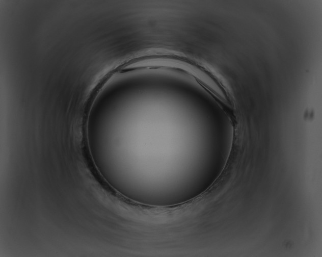 X0000091470015200708301903