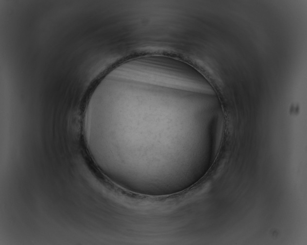 X0000091470016200708301903