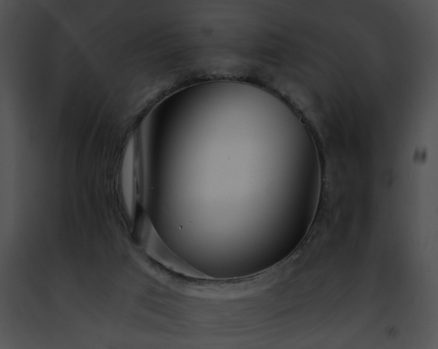 X0000091470017200708301903