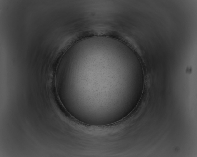 X0000091470018200708301903