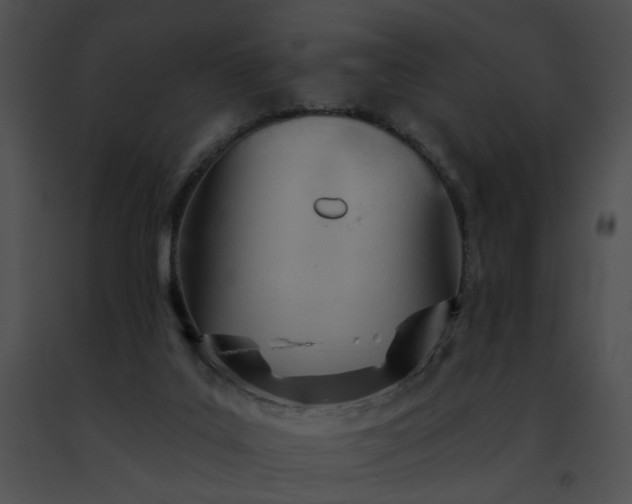 X0000091470019200708301903