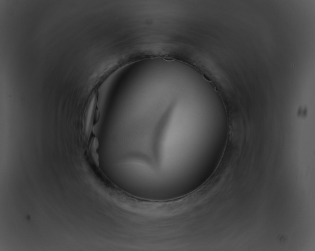 X0000091470023200708301903