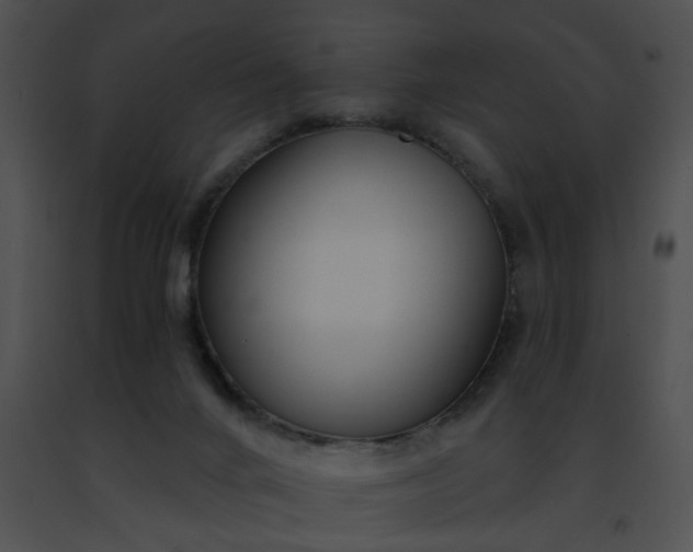 X0000091470024200708301902