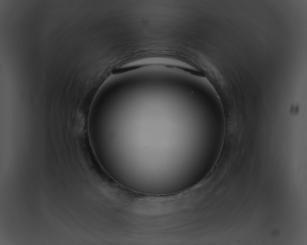 X0000091470025200708301902