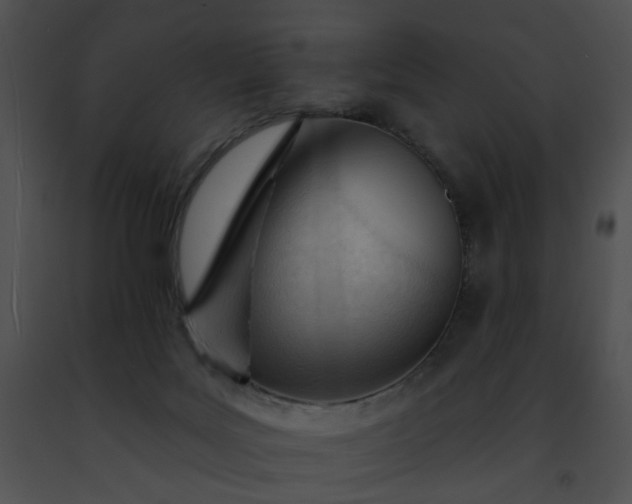 X0000091470027200708301902