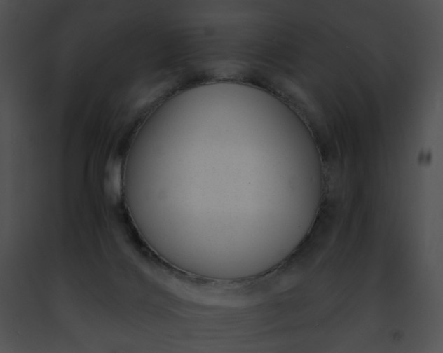 X0000091470028200708301902