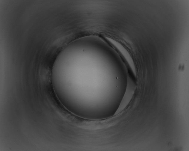 X0000091470029200708301902