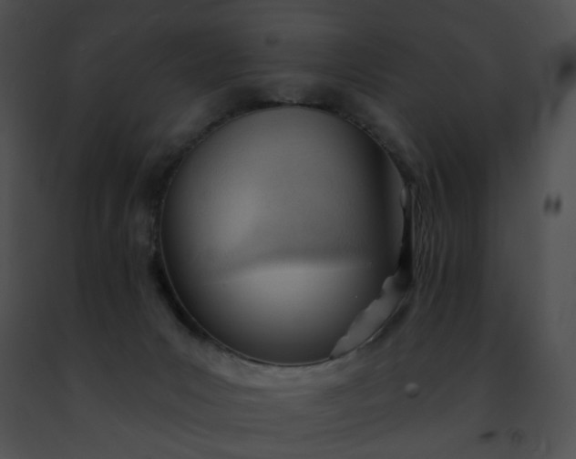 X0000091470031200708301902