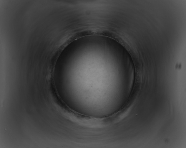 X0000091470032200708301902