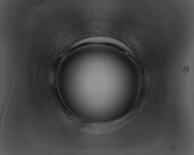 X0000091470033200708301902