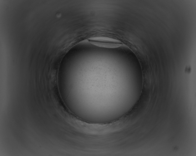 X0000091470034200708301902