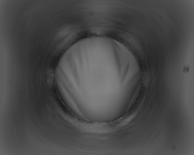 X0000091470036200708301902