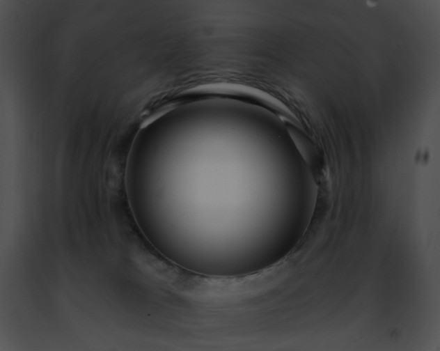 X0000091470037200708301902