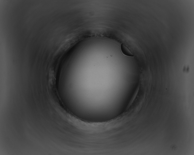 X0000091470038200708301902