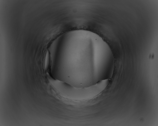 X0000091470039200708301902