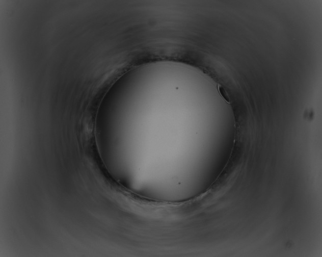 X0000091470040200708301902