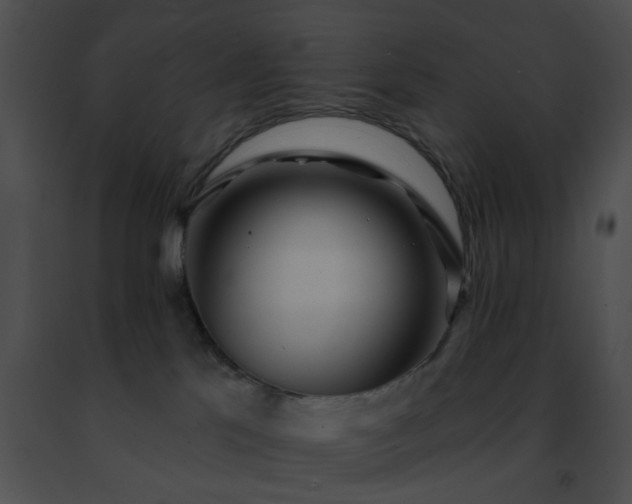 X0000091470041200708301902