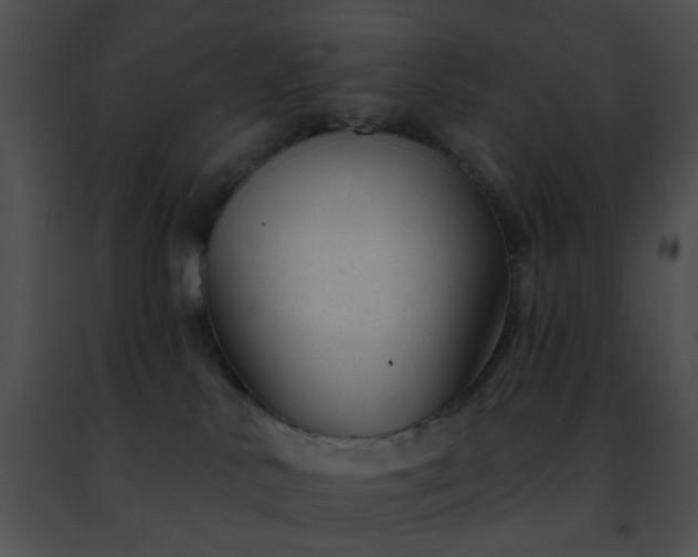 X0000091470042200708301902