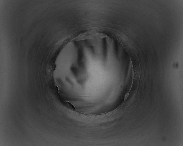 X0000091470043200708301902